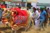 MLA Pradeep Maharathy celebrating Akhay Trutia with farmers