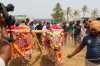 MLA Pradeep Maharathy celebrating Akhay Trutia with farmers
