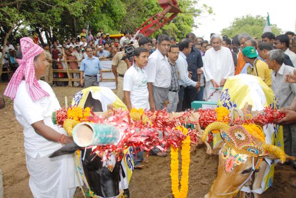 Naveen Patnaik in a function on Akhimuthi Anukula at Marichi Village, Bhubaneswar.